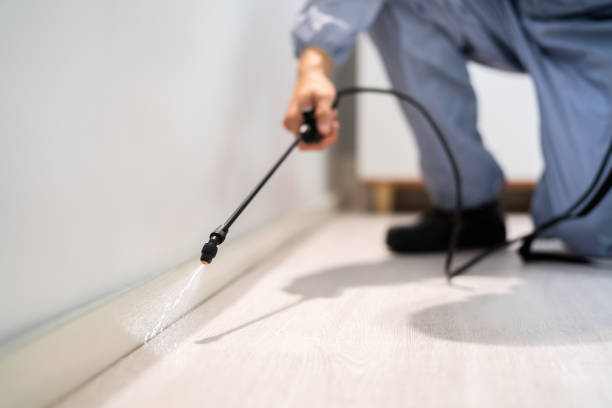 Licensed Mosquito Control service in Raymond, IL - Show Me Pest Control