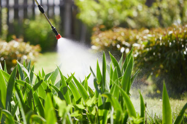 24/7 Emergency Mosquito Control experts in Raymond, IL