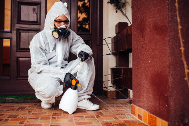 Reliable Mosquito Control contractor in Raymond, IL by Show Me Pest Control