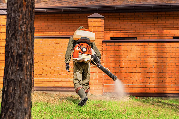 Top rated local Mosquito Control specialists in Raymond, IL